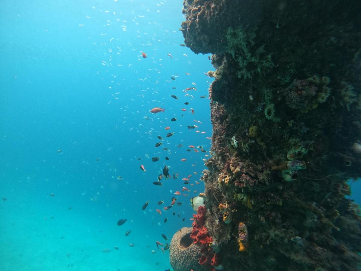 Meos Ambower Homestay Raja Ampat Fam Exteriér fotografie