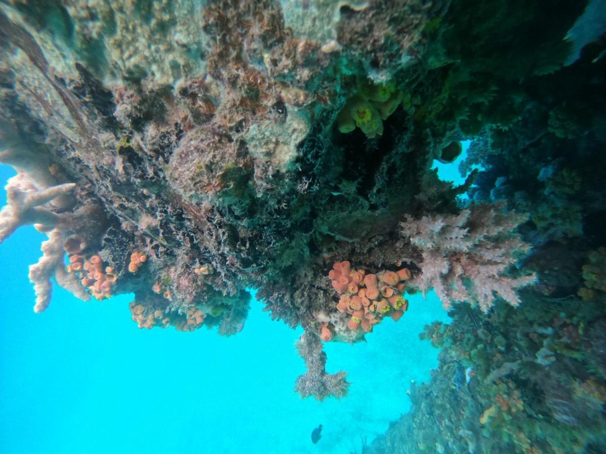 Meos Ambower Homestay Raja Ampat Fam Exteriér fotografie