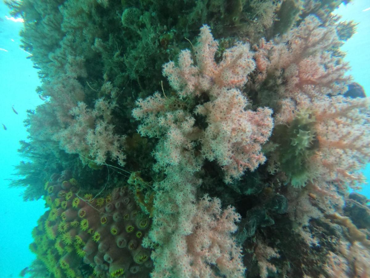 Meos Ambower Homestay Raja Ampat Fam Exteriér fotografie