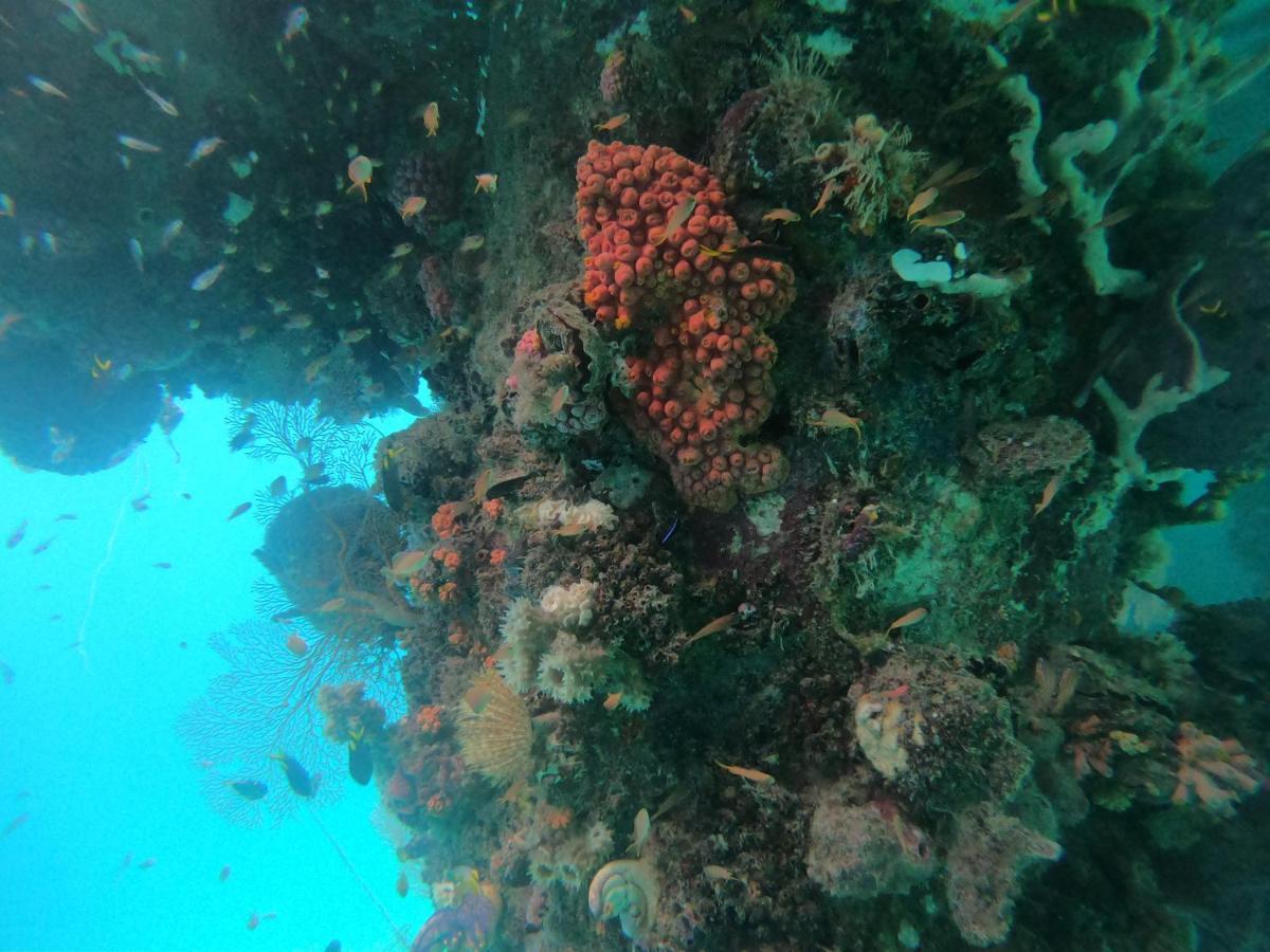 Meos Ambower Homestay Raja Ampat Fam Exteriér fotografie