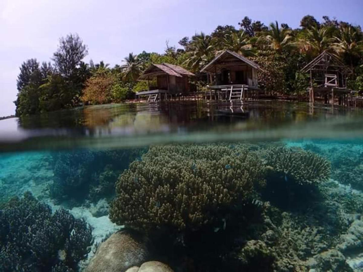 Meos Ambower Homestay Raja Ampat Fam Exteriér fotografie